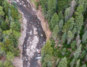 The West Fork of the San Juan River, near Pagosa Springs, Colorado, on June 24, 2026. ©Mitch Tobin Usage rights are granted for editorial and nonprofit purposes only. No commercial or re-sale rights are granted without permission of the photographer.