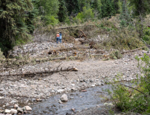 Wolf Creek, a tributary of the West Fork of the San Juan River, near Pagosa Springs, Colorado, on June 24, 2026. ©Mitch Tobin Usage rights are granted for editorial and nonprofit purposes only. No commercial or re-sale rights are granted without permission of the photographer.