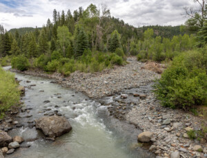 The East Fork of the San Juan River, near Pagosa Springs, Colorado, on June 24, 2026. ©Mitch Tobin Usage rights are granted for editorial and nonprofit purposes only. No commercial or re-sale rights are granted without permission of the photographer.