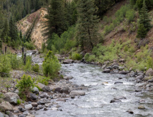 The East Fork of the San Juan River, near Pagosa Springs, Colorado, on June 24, 2026. ©Mitch Tobin Usage rights are granted for editorial and nonprofit purposes only. No commercial or re-sale rights are granted without permission of the photographer.
