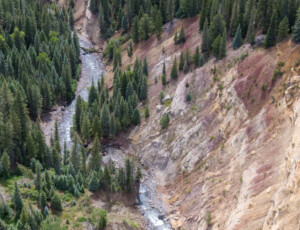 The East Fork of the San Juan River, near Pagosa Springs, Colorado, on June 24, 2026. ©Mitch Tobin Usage rights are granted for editorial and nonprofit purposes only. No commercial or re-sale rights are granted without permission of the photographer. Fork of the San Juan River, near Pagosa Springs, Colorado, on June 24, 2026. ©Mitch Tobin Usage rights are granted for editorial and nonprofit purposes only. No commercial or re-sale rights are granted without permission of the photographer.