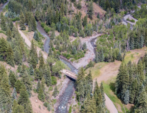 The East Fork of the San Juan River, near Pagosa Springs, Colorado, on June 24, 2026. ©Mitch Tobin Usage rights are granted for editorial and nonprofit purposes only. No commercial or re-sale rights are granted without permission of the photographer. Fork of the San Juan River, near Pagosa Springs, Colorado, on June 24, 2026. ©Mitch Tobin Usage rights are granted for editorial and nonprofit purposes only. No commercial or re-sale rights are granted without permission of the photographer.