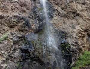 Treasure Falls in the San Juan National Forest, near Pagosa Springs, Colorado, on June 24, 2026. ©Mitch Tobin Usage rights are granted for editorial and nonprofit purposes only. No commercial or re-sale rights are granted without permission of the photographer.