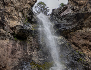 Treasure Falls in the San Juan National Forest, near Pagosa Springs, Colorado, on June 24, 2026. ©Mitch Tobin Usage rights are granted for editorial and nonprofit purposes only. No commercial or re-sale rights are granted without permission of the photographer.