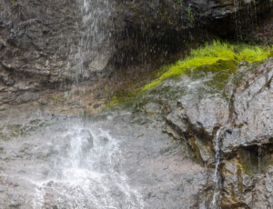 Treasure Falls in the San Juan National Forest, near Pagosa Springs, Colorado, on June 24, 2026. ©Mitch Tobin Usage rights are granted for editorial and nonprofit purposes only. No commercial or re-sale rights are granted without permission of the photographer.