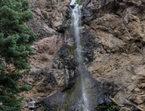 Treasure Falls in the San Juan National Forest, near Pagosa Springs, Colorado, on June 24, 2026. ©Mitch Tobin Usage rights are granted for editorial and nonprofit purposes only. No commercial or re-sale rights are granted without permission of the photographer.