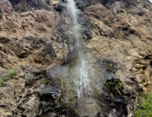 Treasure Falls in the San Juan National Forest, near Pagosa Springs, Colorado, on June 24, 2026. ©Mitch Tobin Usage rights are granted for editorial and nonprofit purposes only. No commercial or re-sale rights are granted without permission of the photographer.