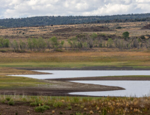 McPhee Reservoir, along the Dolores River, in southwest Colorado, on September 2, 2026. ©Mitch Tobin Usage rights are granted for editorial and nonprofit purposes only. No commercial or re-sale rights are granted without permission of the photographer.