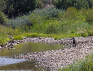 The Dolores River in southwest Colorado on September 2, 2026. ©Mitch Tobin Usage rights are granted for editorial and nonprofit purposes only. No commercial or re-sale rights are granted without permission of the photographer.