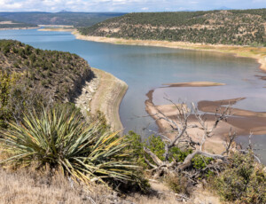 McPhee Reservoir, along the Dolores River, in southwest Colorado, on September 2, 2026. ©Mitch Tobin Usage rights are granted for editorial and nonprofit purposes only. No commercial or re-sale rights are granted without permission of the photographer.