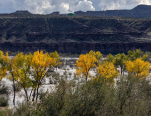 Flooding along the San Juan River near Aneth, Utah, on October 25, 2026. ©Mitch Tobin Usage rights are granted for editorial and nonprofit purposes only. No commercial or re-sale rights are granted without permission of the photographer.