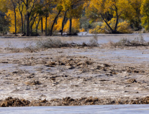 Flooding along the San Juan River in northwest New Mexico on October 25, 2026. ©Mitch Tobin Usage rights are granted for editorial and nonprofit purposes only. No commercial or re-sale rights are granted without permission of the photographer.