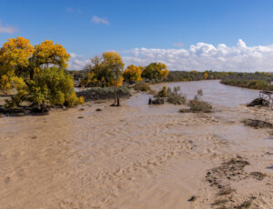 Flooding along the San Juan River in Shiprock, New Mexico, on the Navajo Nation, on October 25, 2026. ©Mitch Tobin Usage rights are granted for editorial and nonprofit purposes only. No commercial or re-sale rights are granted without permission of the photographer.